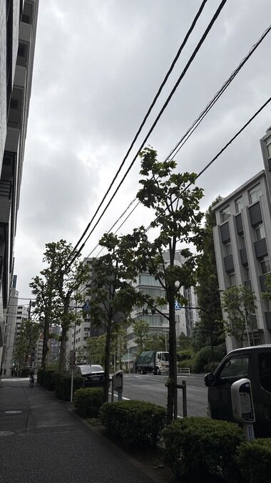 IMG_0205.JPG_380px.jpg