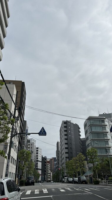 IMG_3835.JPG_380px.jpg
