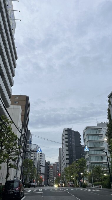 IMG_3848.JPG_380px.jpg