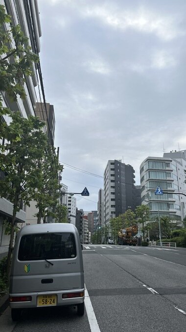 IMG_3889.JPG_380px.jpg