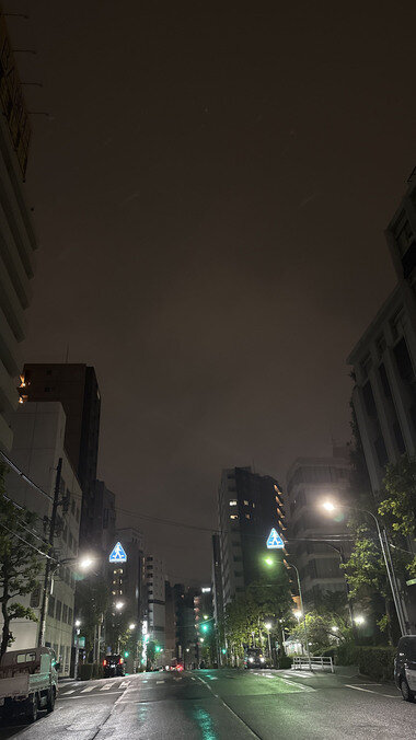 IMG_0206.JPG_380px.jpg