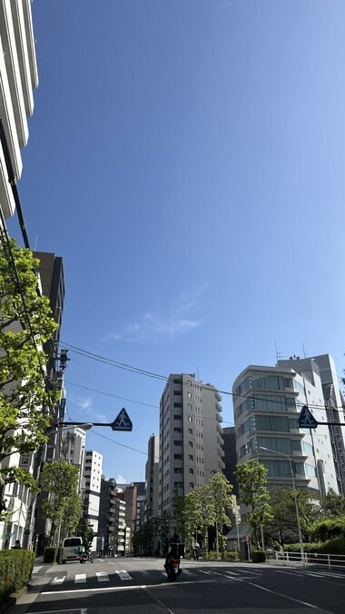 IMG_4014.JPG_380px.jpg