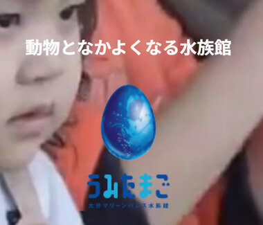 スクリーンショット 2025-10-19 032824.png_380px.jpg