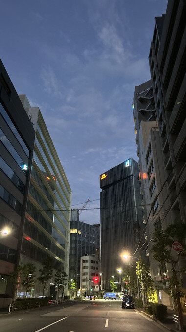 IMG_4028.JPG_380px.jpg
