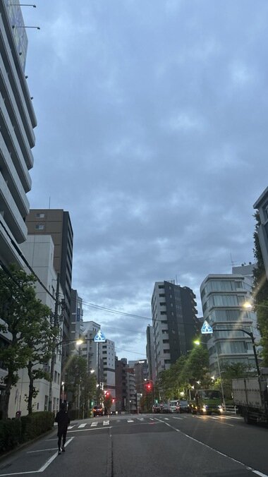 IMG_4102.JPG_380px.jpg