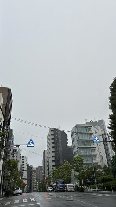 IMG_4126.JPG_380px.jpg