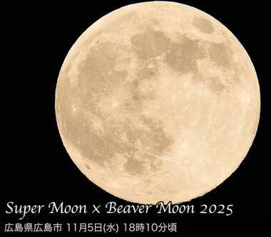 スクリーンショット 2025-11-06 011448.png_380px.jpg