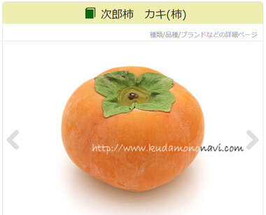 スクリーンショット 2025-11-20 033502.png_380px.jpg