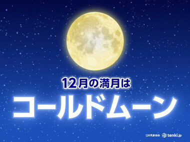 スクリーンショット 2025-12-06 132511.png_380px.jpg