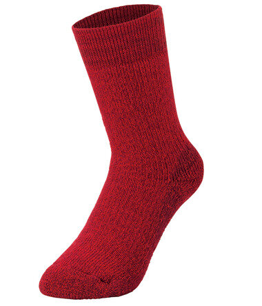 スクリーンショット 2026-01-28 002610.png_380px.jpg