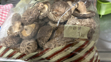 スクリーンショット 2026-02-03 213235.png_380px.jpg