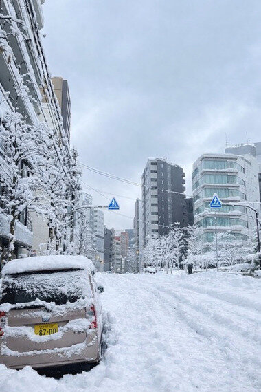 ChatGPT Image 2026年2月8日 07_28_48.png_380px.jpg