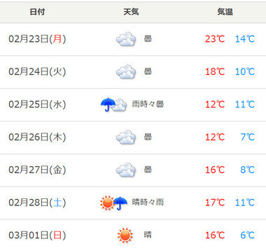 スクリーンショット 2026-02-23 235341.png_380px.jpg