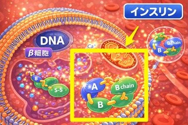 ChatGPT Image 2026年2月26日 09_13_16.png_380px.jpg