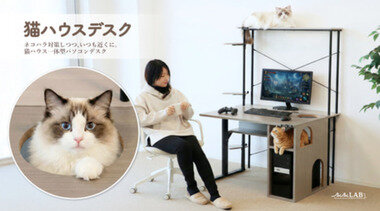 スクリーンショット 2026-03-13 000335.png_380px.jpg