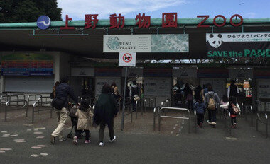 スクリーンショット 2026-03-20 110226.png_380px.jpg