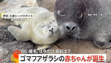 スクリーンショット 2026-03-27 221003.png_380px.jpg