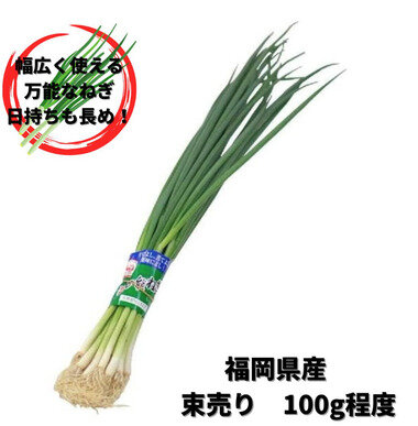 スクリーンショット 2026-03-28 234541.png_380px.jpg