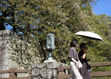 スクリーンショット 2026-04-13 233652.png_380px.jpg