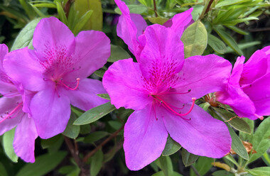 スクリーンショット 2026-04-17 084805.png_380px.jpg