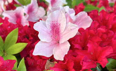 スクリーンショット 2026-04-19 220406.png_380px.jpg