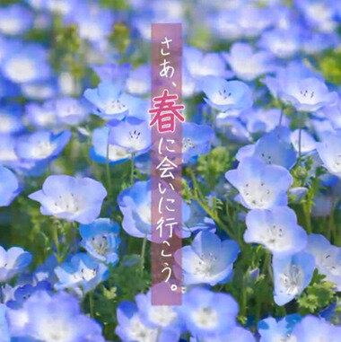 スクリーンショット 2026-04-23 222554.png_380px.jpg