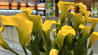 スクリーンショット 2026-04-29 023917.png_380px.jpg