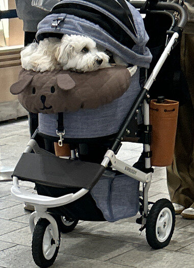 スクリーンショット 2026-04-30 082434.png_380px.jpg