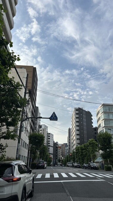 IMG_0487.JPG_380px.jpg