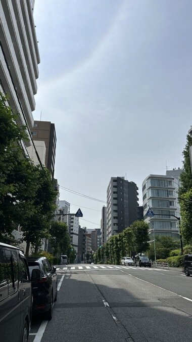 IMG_0504.JPG_380px.jpg