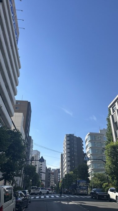 IMG_0543.JPG_380px.jpg