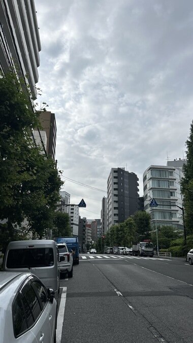 IMG_0634(2).JPG_380px.jpg