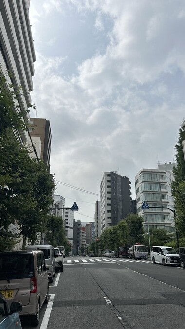 IMG_0683.JPG_380px.jpg