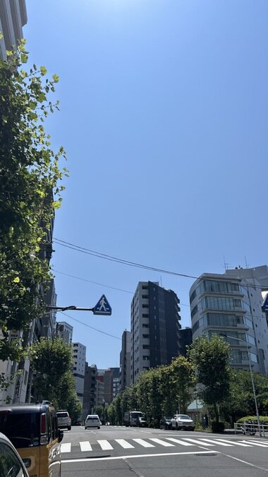 IMG_0871.JPG_380px.jpg