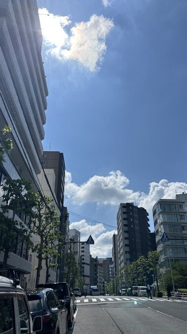 IMG_1090.JPG_380px.jpg