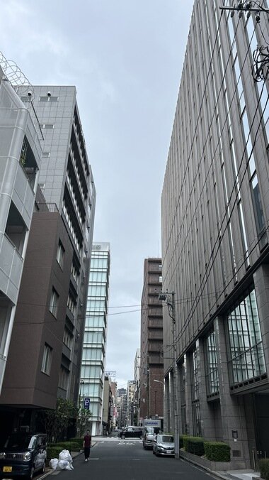 IMG_1099.JPG_380px.jpg