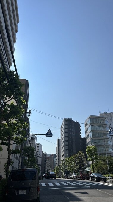 IMG_1275.JPG_380px.jpg