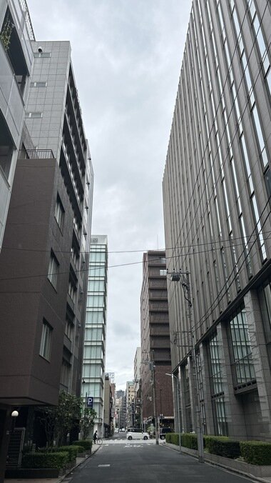 IMG_1352.JPG_380px.jpg