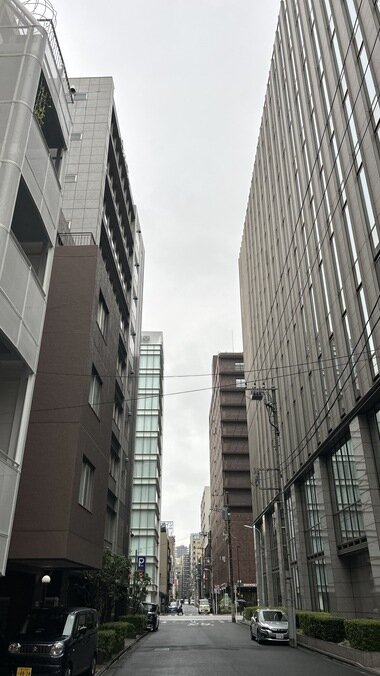IMG_1433.JPG_380px.jpg