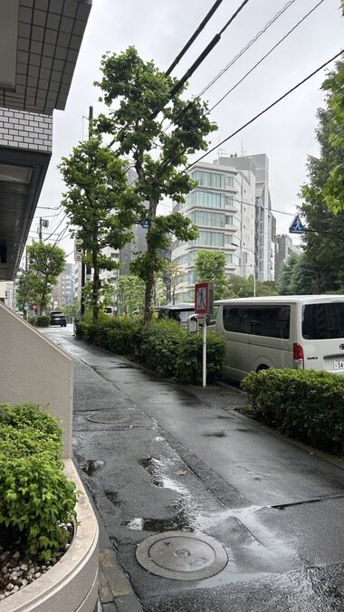 IMG_1468.JPG_380px.jpg