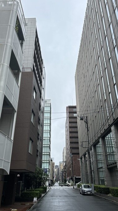 IMG_1469.JPG_380px.jpg