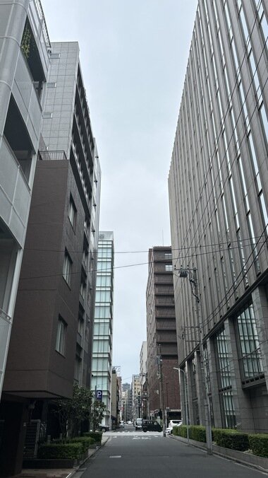 IMG_1548.JPG_380px.jpg