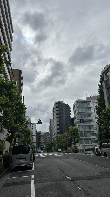 IMG_1612.JPG_380px.jpg