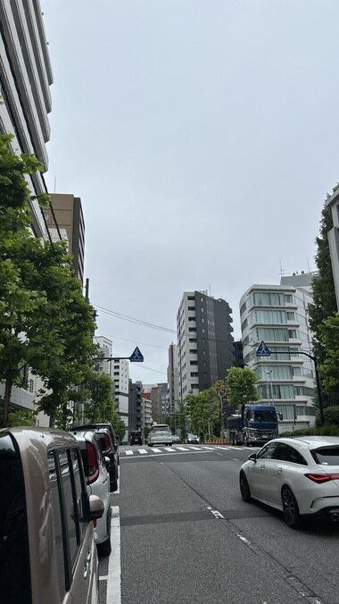 IMG_1630.JPG_380px.jpg