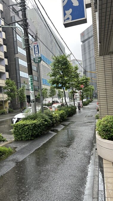IMG_1651.JPG_380px.jpg