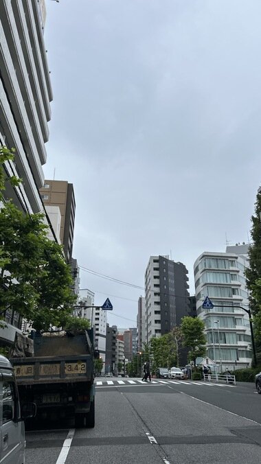 IMG_1692.JPG_380px.jpg