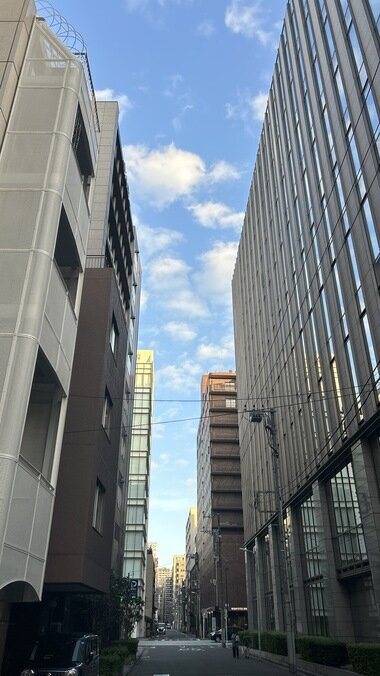 IMG_1953.JPG_380px.jpg