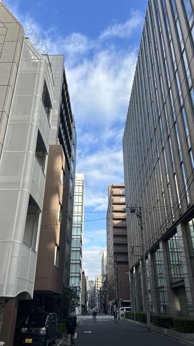 IMG_2072.JPG_380px.jpg