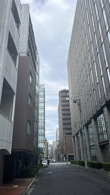 IMG_2106.JPG_380px.jpg