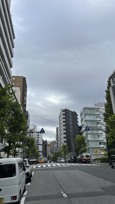 IMG_2143.JPG_380px.jpg